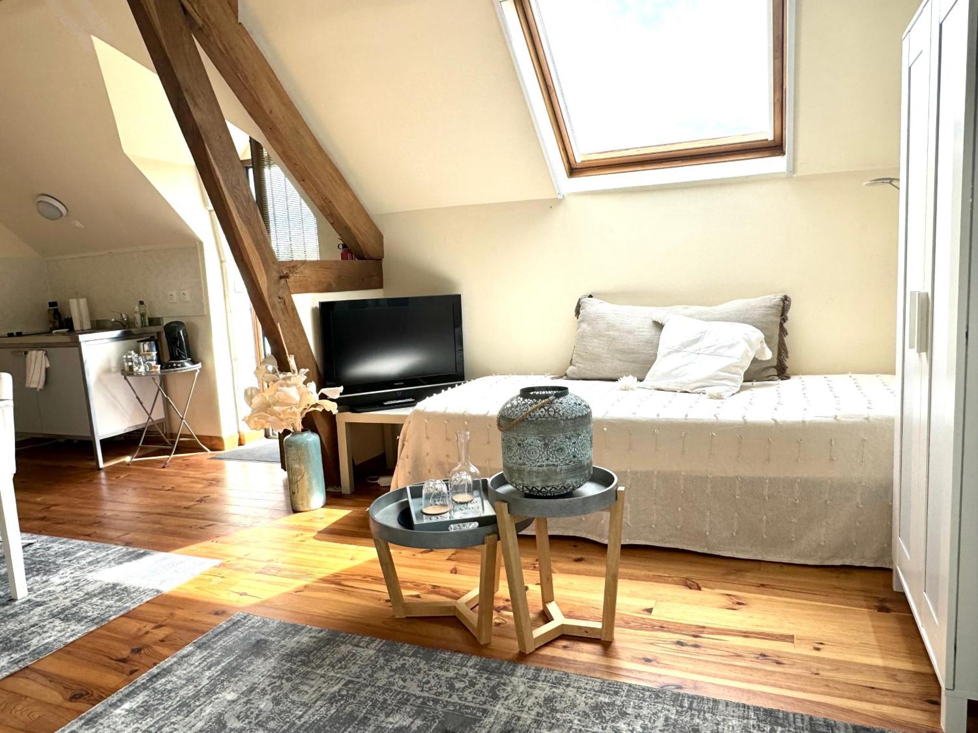 Bed and Breakfast Le Moulin D Olivet Orbigny Exteriér fotografie