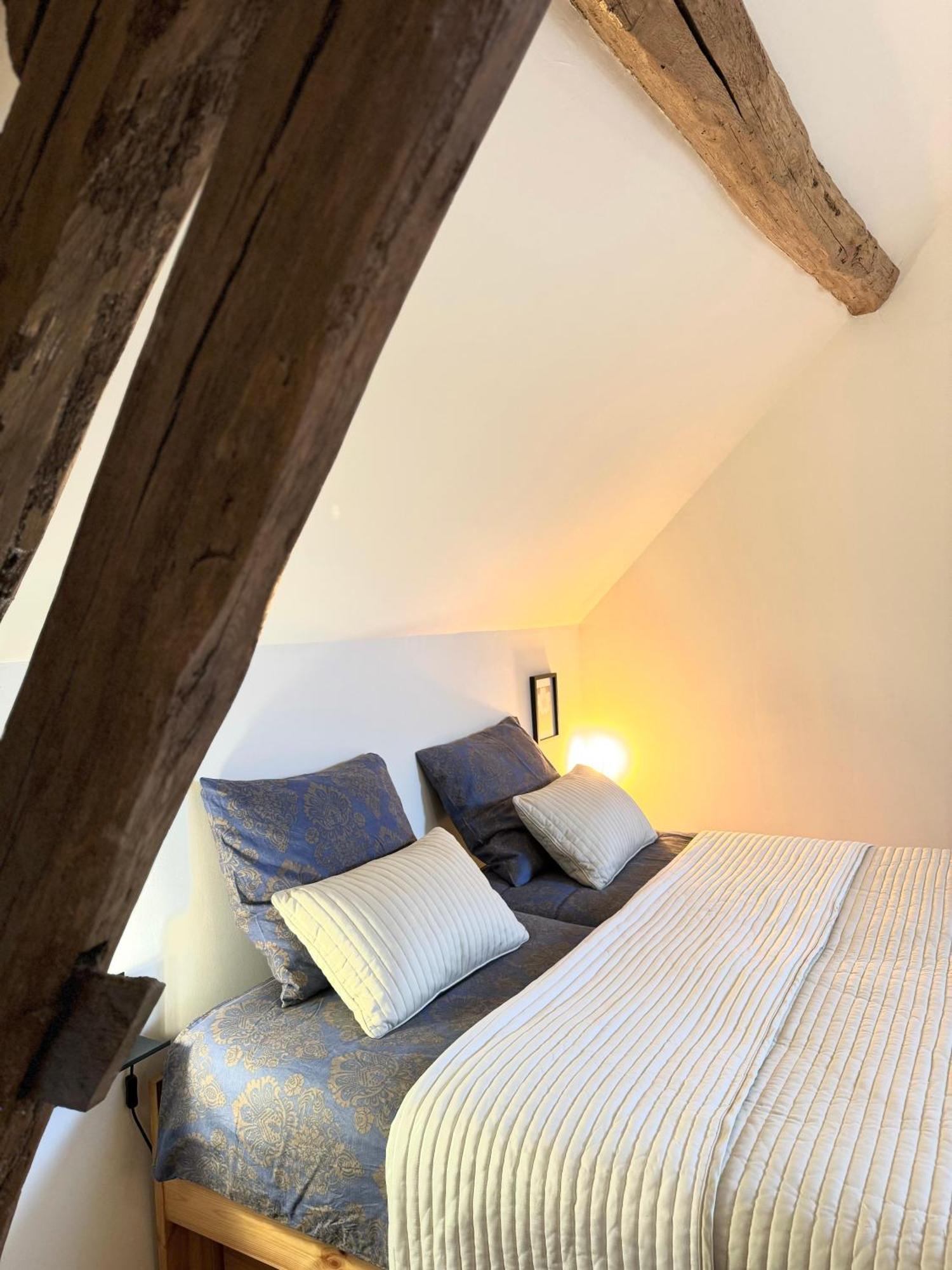 Bed and Breakfast Le Moulin D Olivet Orbigny Exteriér fotografie